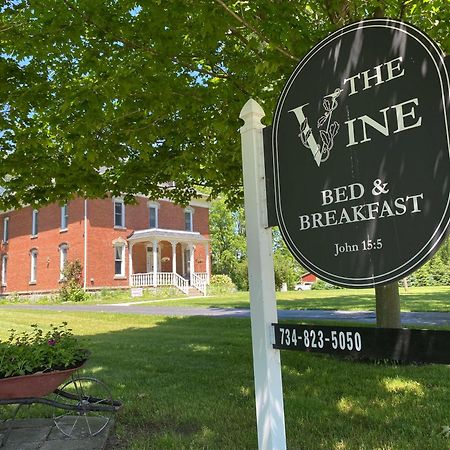 דונדי The Vine Bed & Breakfast, Llc מראה חיצוני תמונה